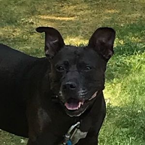 Meet your Posher, Ben